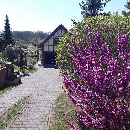 Ferienwohnung Zur Saaleaue Wettin Luaran gambar