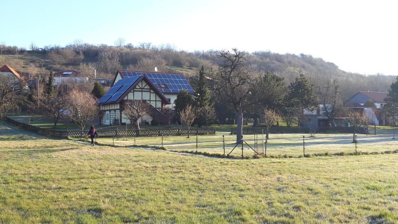 Ferienwohnung Zur Saaleaue Wettin Luaran gambar