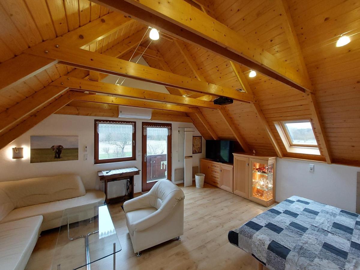 Ferienwohnung Zur Saaleaue Wettin Luaran gambar