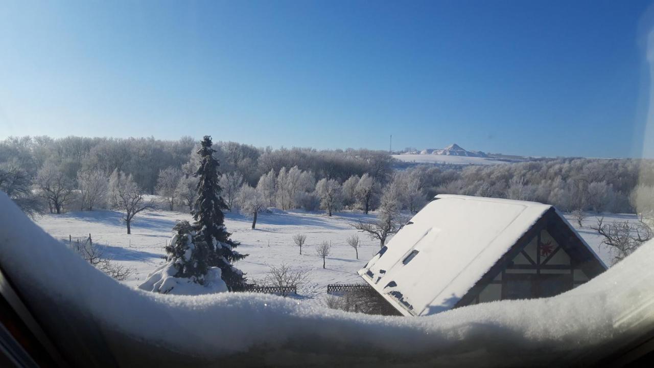 Ferienwohnung Zur Saaleaue Wettin Luaran gambar