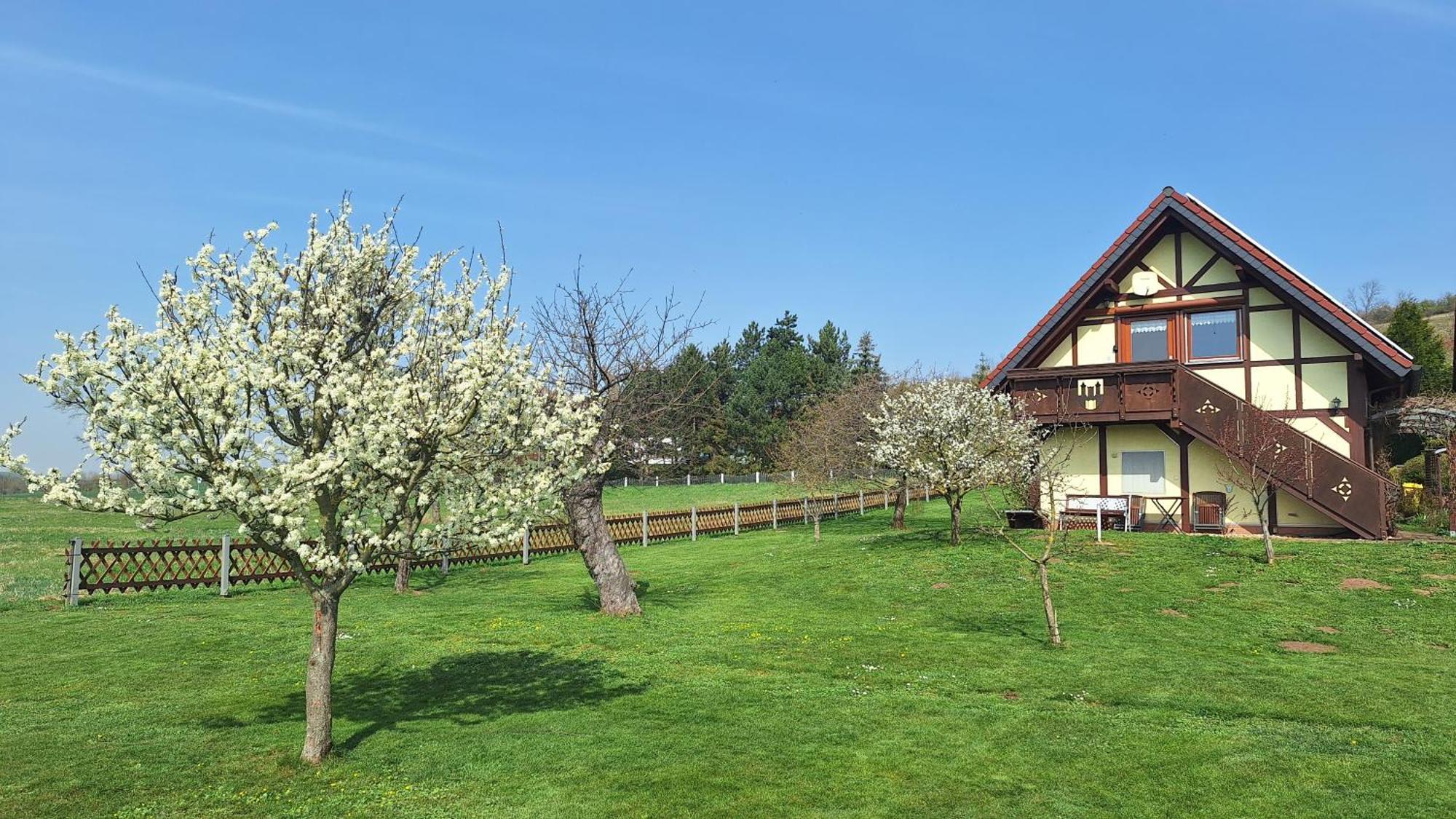 Ferienwohnung Zur Saaleaue Wettin Luaran gambar